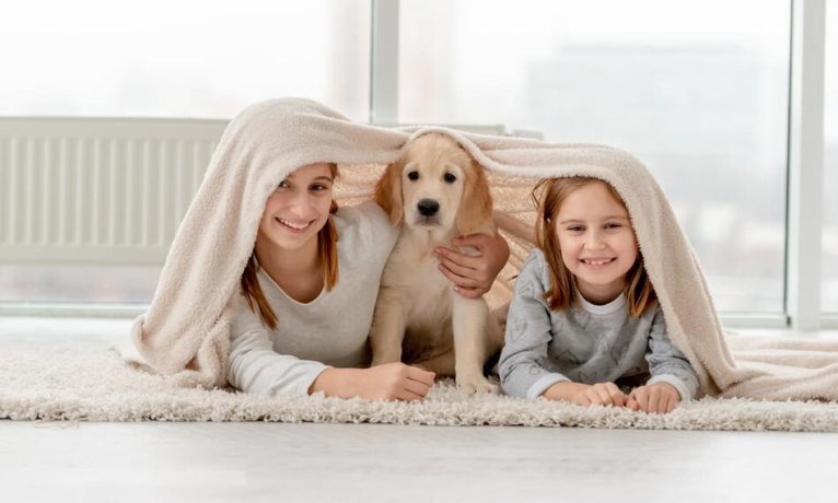 Jak na zdravou domácnost pro děti a mazlíčky