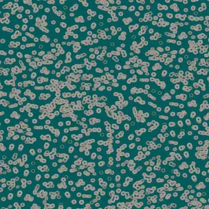 Flotex Sottsass Bacteria 990404