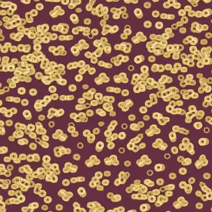 Flotex Sottsass Bacteria 990501