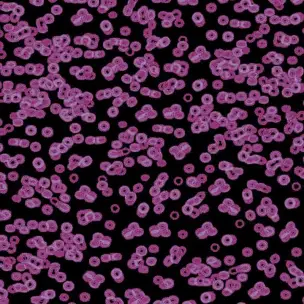 Flotex Sottsass Bacteria 990104