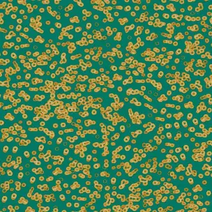 Flotex Sottsass Bacteria 990503