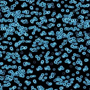 Flotex Sottsass Bacteria 990105