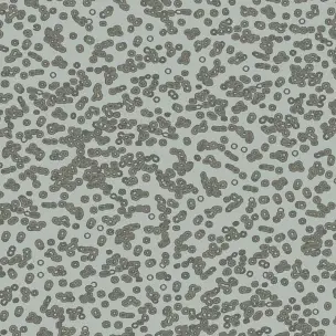 Flotex Sottsass Bacteria 990201
