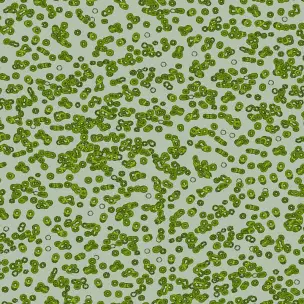 Flotex Sottsass Bacteria 990203