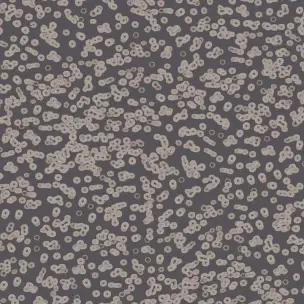 Flotex Sottsass Bacteria 990304