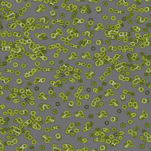 Flotex Sottsass Bacteria 990302