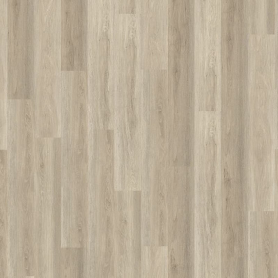 Velký vzorek Conceptline 30131 Dub Rimini