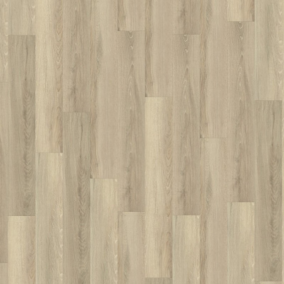 Velký vzorek Projectline 55224 Dub Trento