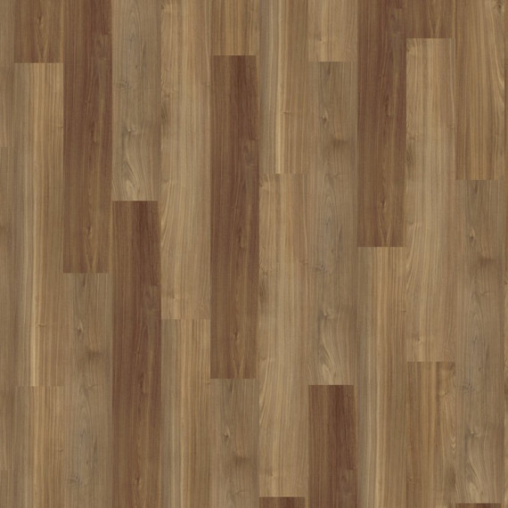 Velký vzorek Projectline Acoustic Click 55226 Ořech Bergamo