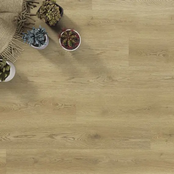 Afirmax BiClick 42432 Dub Noble