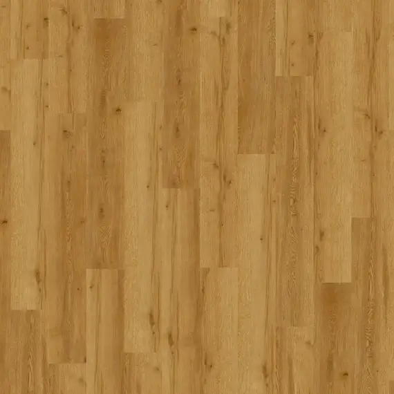 Expona Domestic 5834 Golden Valley Oak