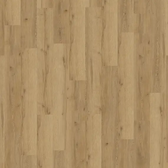 Expona Domestic 5837 Manor Oak