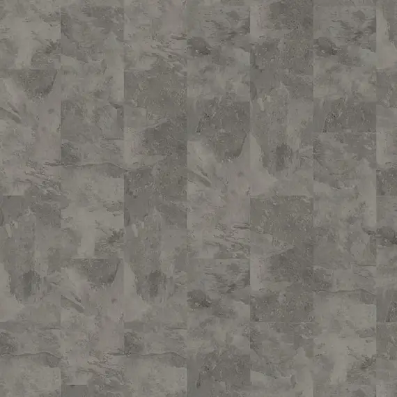 Expona Domestic 5863 Silverline Slate