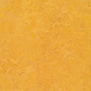 Marmoleum Real 2,5 mm 3225 Dandelion