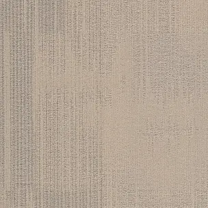 Tessera Contour 1903 White Spruce