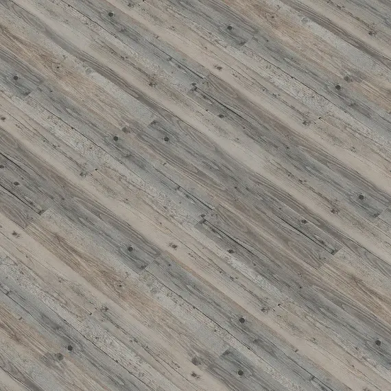 RS Click 30128-1 Borovice sibiřská 