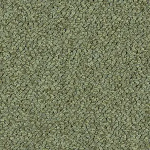 Tessera Chroma 3613 Pasture