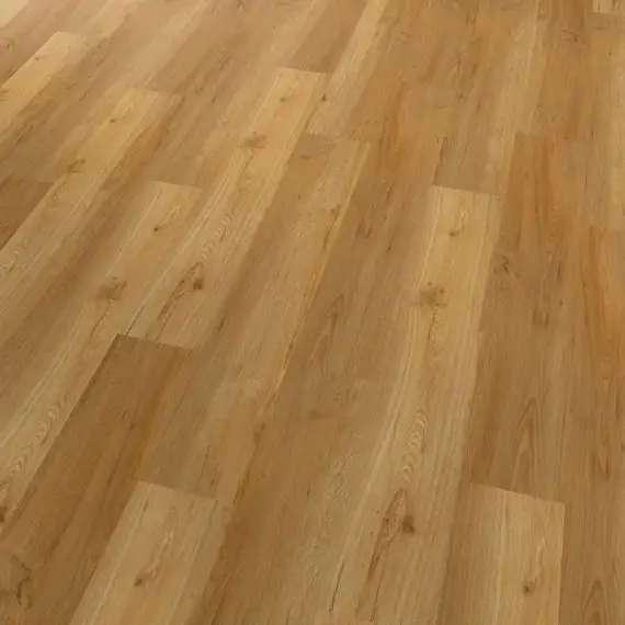 Conceptline 30101 Dub klasik