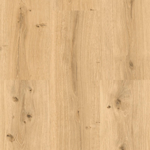 Velký vzorek Ecoline lepený 9591 Dub královský světlý 