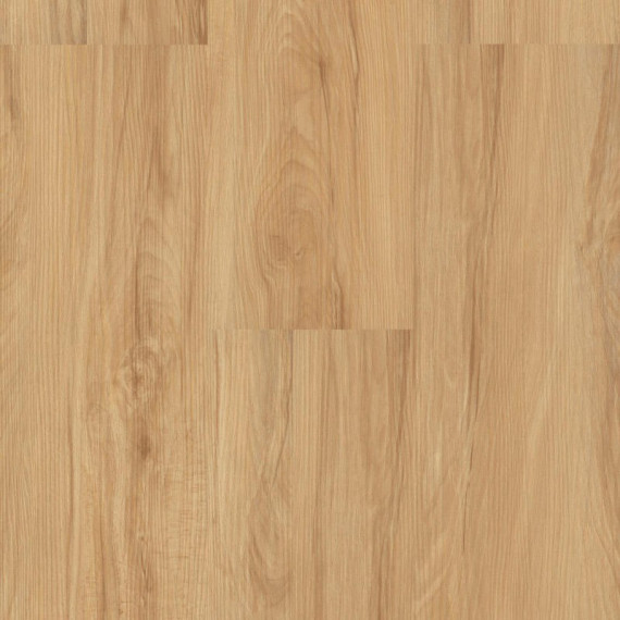 Malý vzorek Ecoline Click 9560 Buk vita