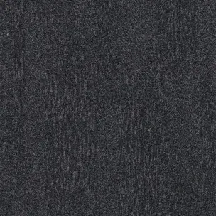 Flotex Colour Penang s482001 Anthracite