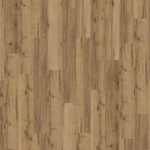 Velký vzorek Expona Commercial 4101 Dub Everglade