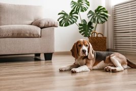 Všestranné využití